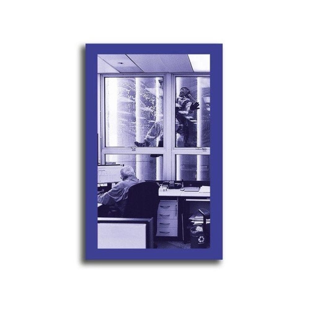 O Interesse Pelas Coisas