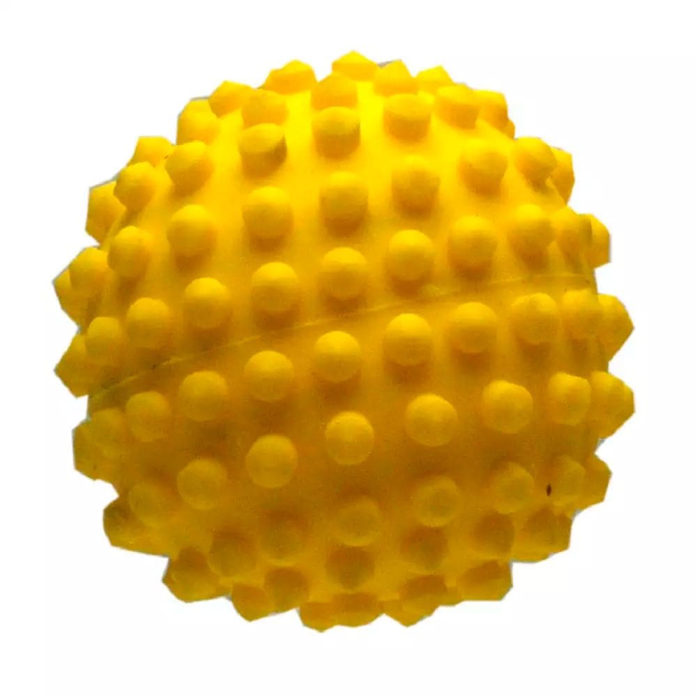 Brinquedo Veterinário Bola Cravo Grande Colosso Cores 1 Unidade