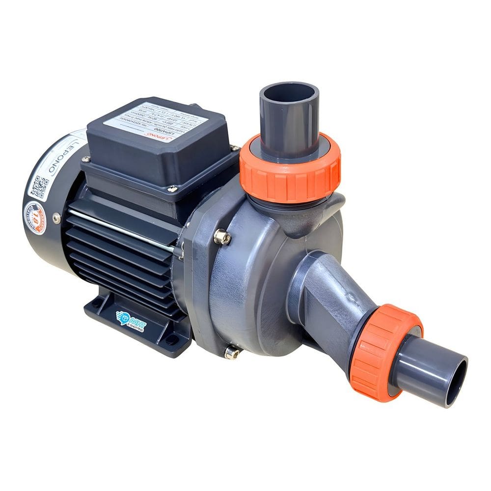 Motor Banheira Hidromassagem 1 Cv D`água Lepono