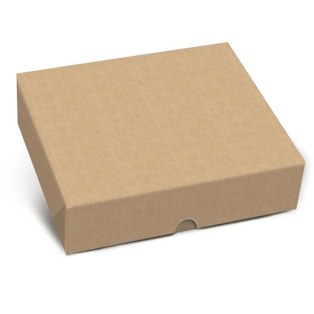 Caixa Embalagem Retangular 25X20X5Cm New Kraft Tam M