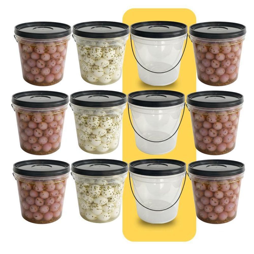 Balde 3.2L Para Spa Dos Pés - 12 Pçs