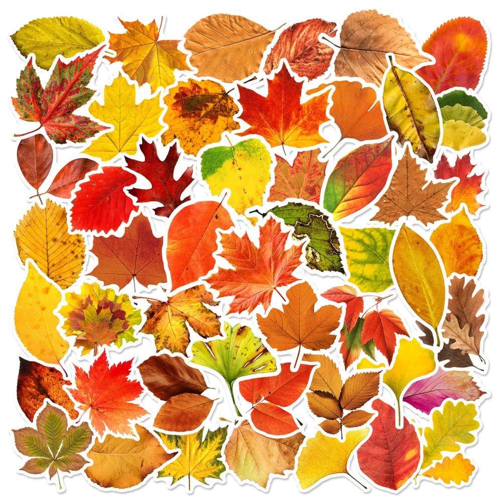 Adesivos Fallens Leaves, vinil impermeável, anime, 60 unidades/lote