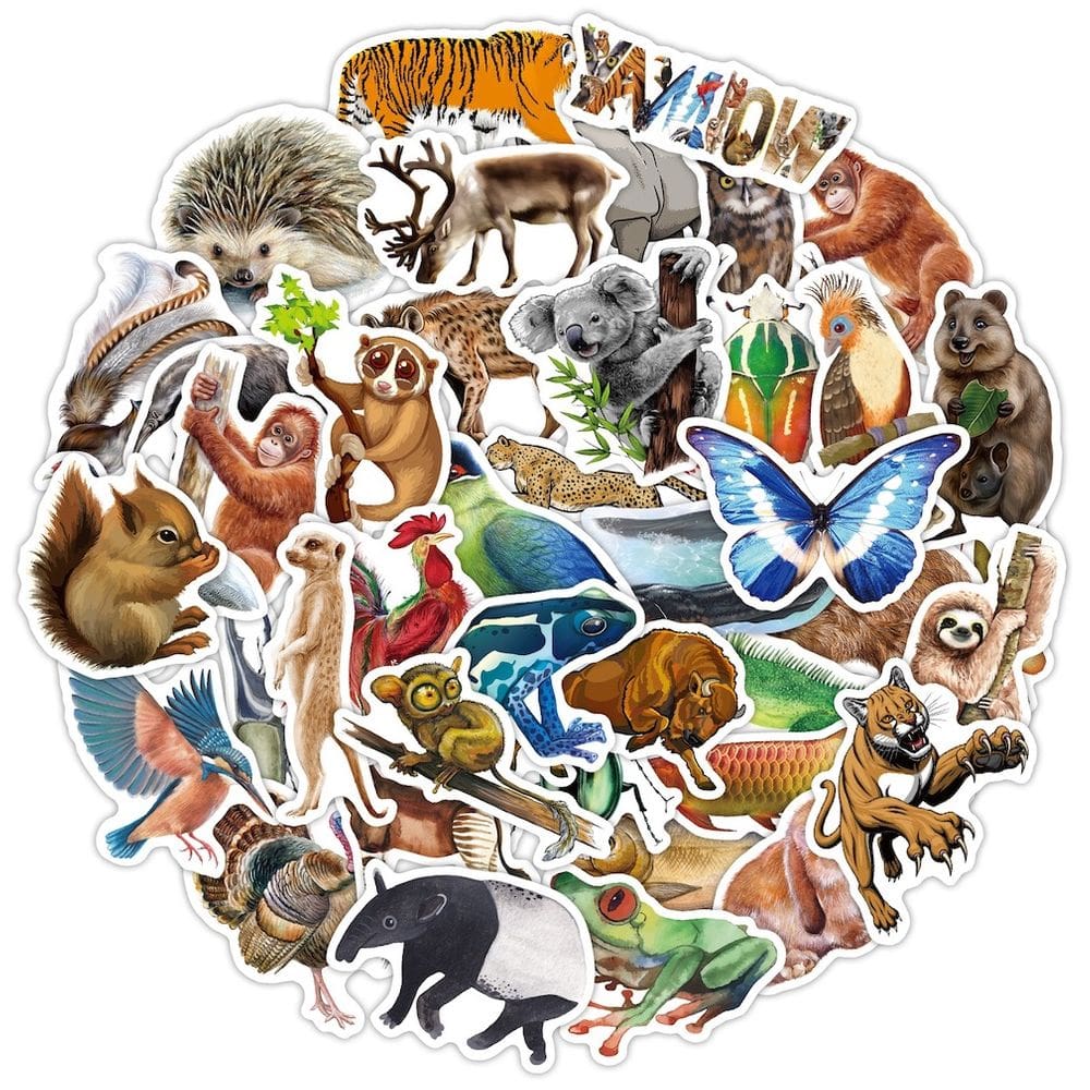 Pacote de adesivos Tropical Rainforest Animal Koala Squirrel Anime