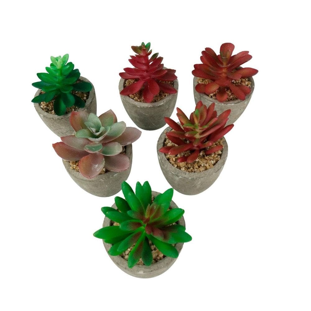 Vaso Decorativo de Cimento 9cm com Planta - Tudo em Caixa