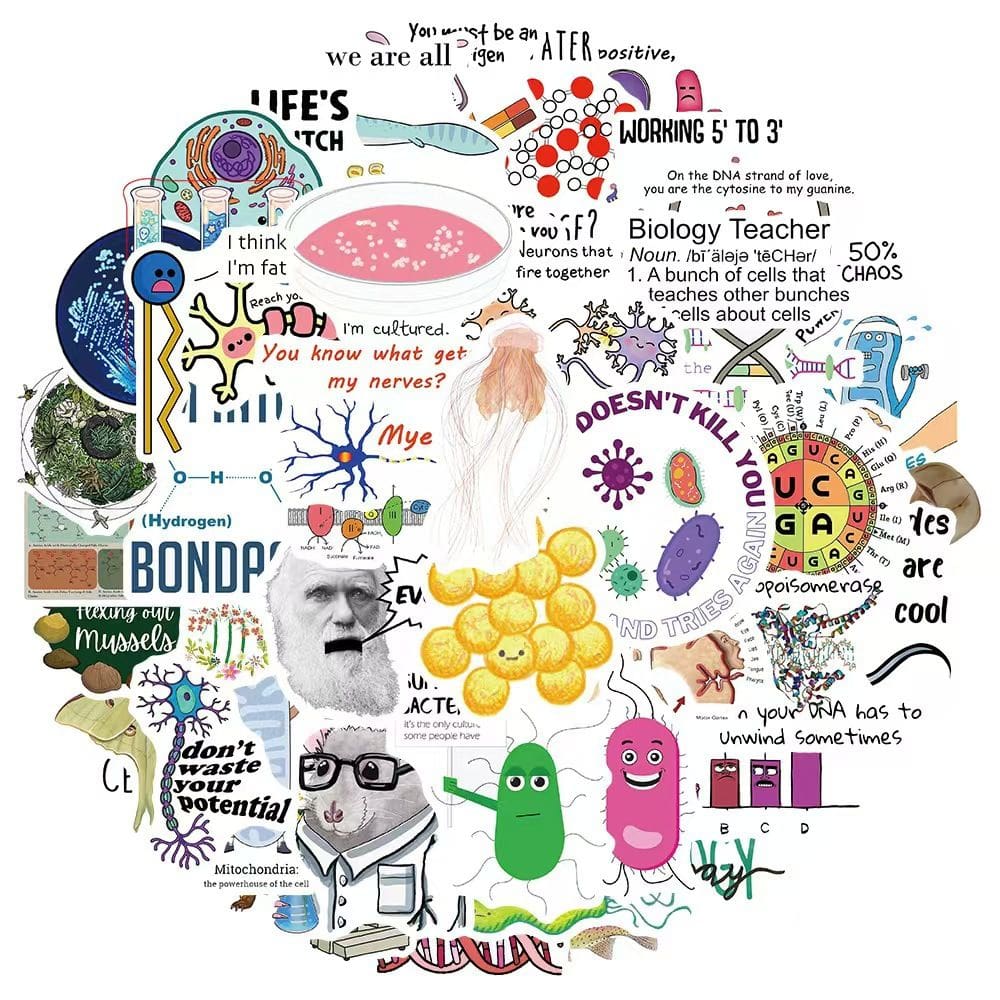 Adesivos Biologys Waterproof Vinyl Anime 50 unidades/lote 5-7 cm