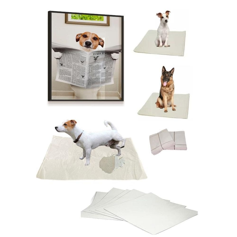 Jornal Higienico Limpo 1Kg Pet Urinar Folha Gigante 66X96