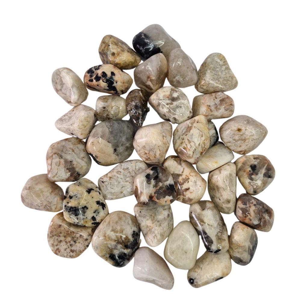 Pedra Jaspe Zebra 2 A 4 Cm Rolada 500 Gramas Natural