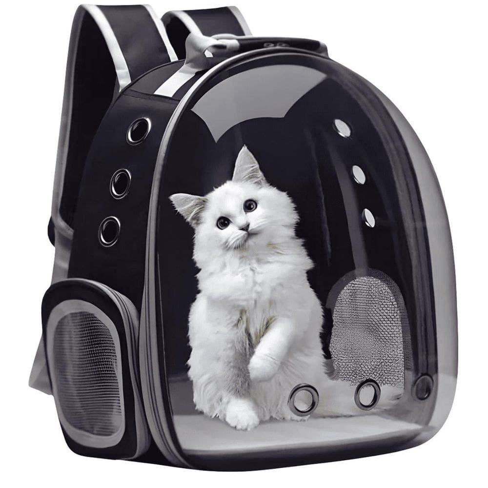 Mochila Pet Transporte Cães Gato Visão Panorâmica Passeio