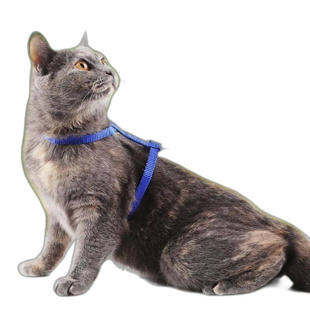 Coleira Peitoral Com Guia Para Gatos Passeio Pet Cor Verde