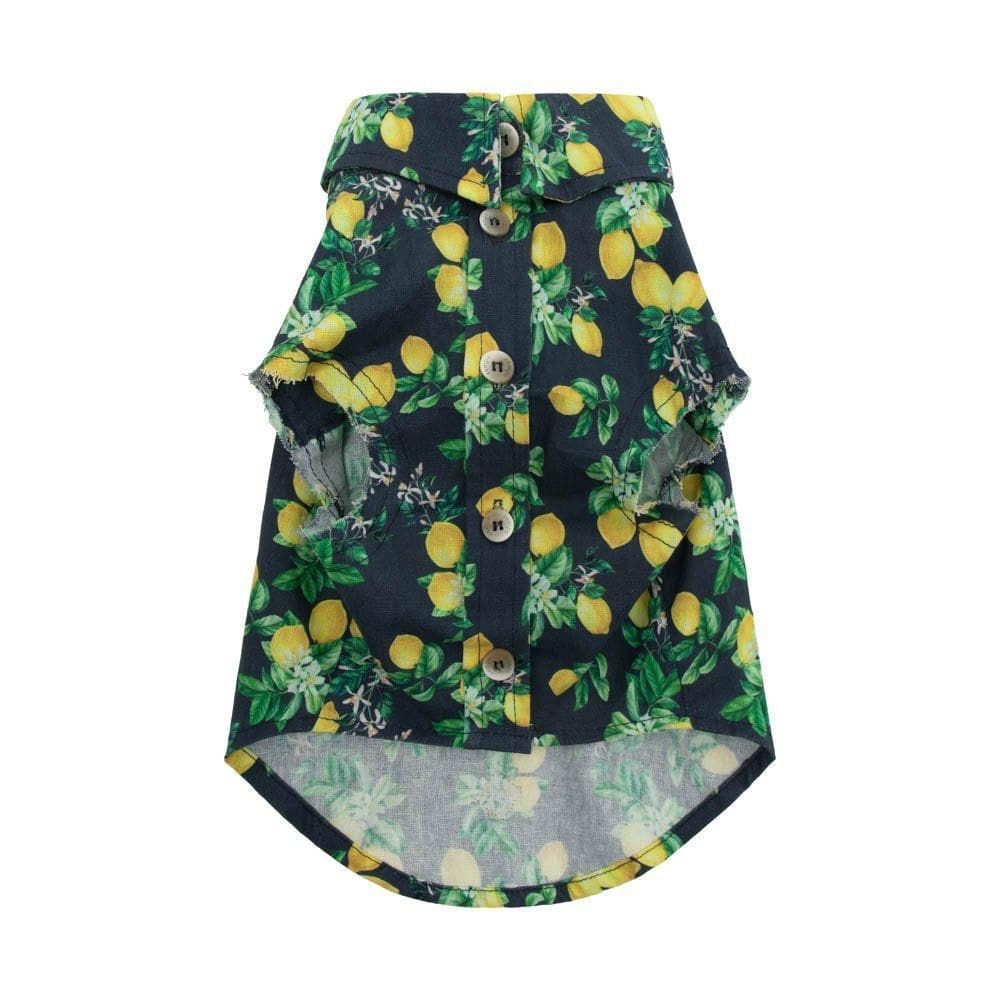 Camisa Limone Pet - Azul - 1Gg