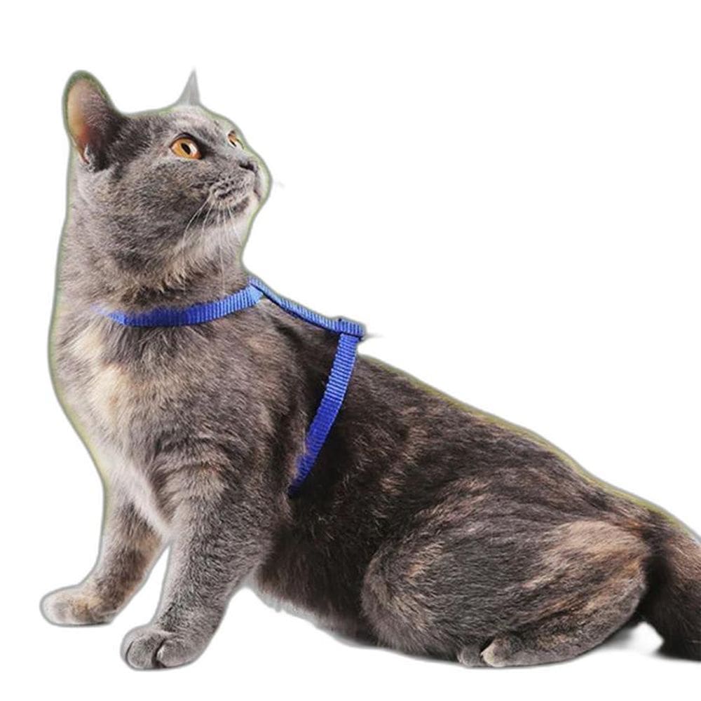 Coleira Peitoral Com Guia Para Gatos Passeio Pet Cor Verde