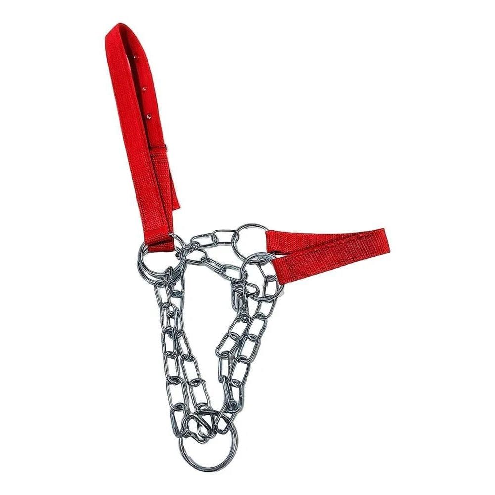 2X Cabresto Para Vaca E Boi De Fita Com Corrente De Ferro