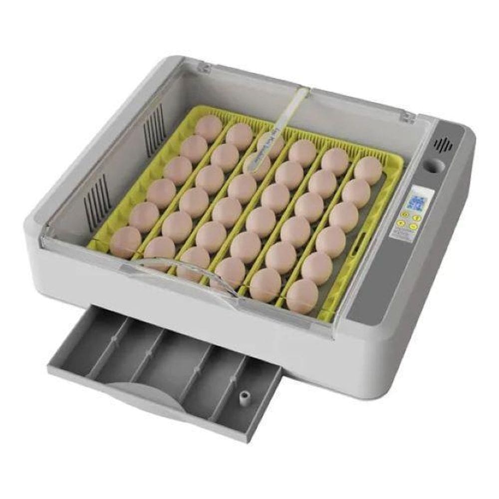 Chocadeira 36 Ovos Temper E Umidade Digital + Ovoscópio 110V