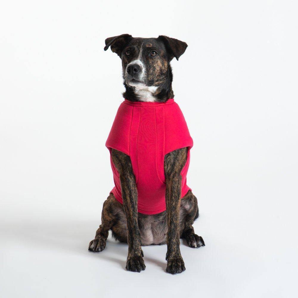 T-Shirt Calabria Pet - Pink - Xpp