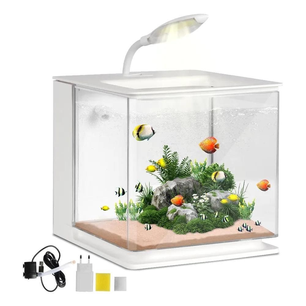 2X Aquario Acrilico Completo Filtro Luminária 4 Litros