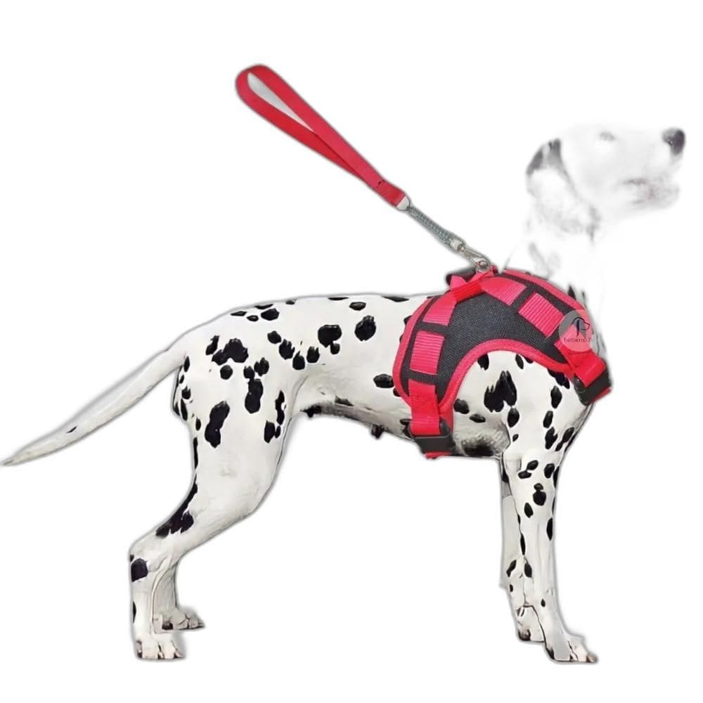 2X Coleira Para Cachorros Peitoral Com Alça Stillo Pit Bull