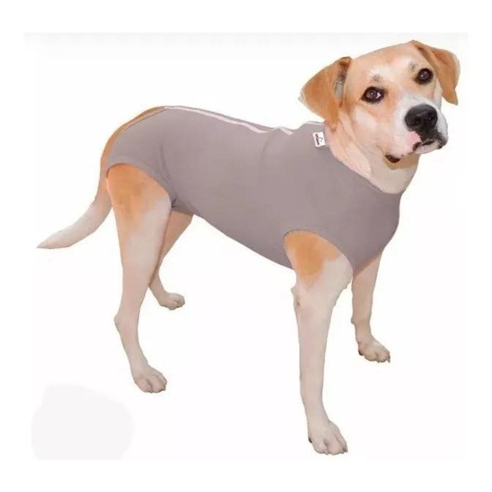 2X Roupa Cirúrgica Cães Femea Ou Macho Castração Nº 07 Ao 1