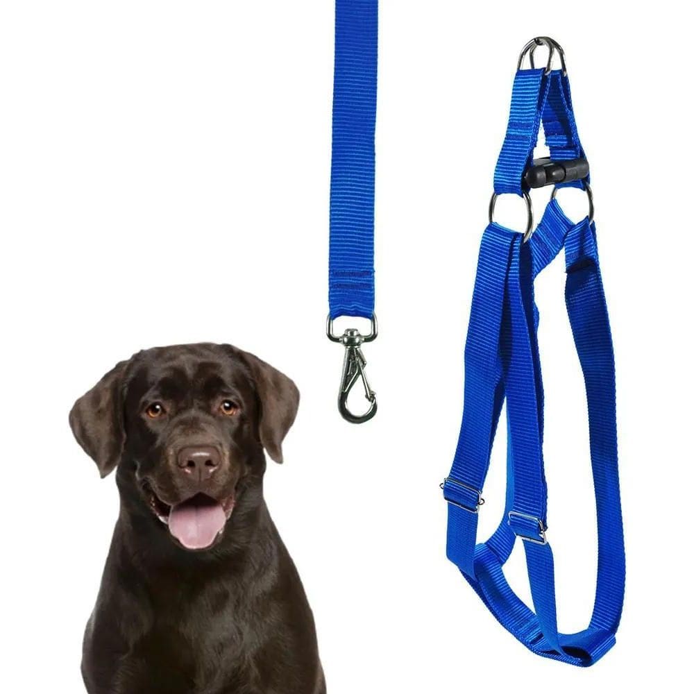 2X Coleira Cachorro Peitoral Porte Grande Husky Dálmata + Gu