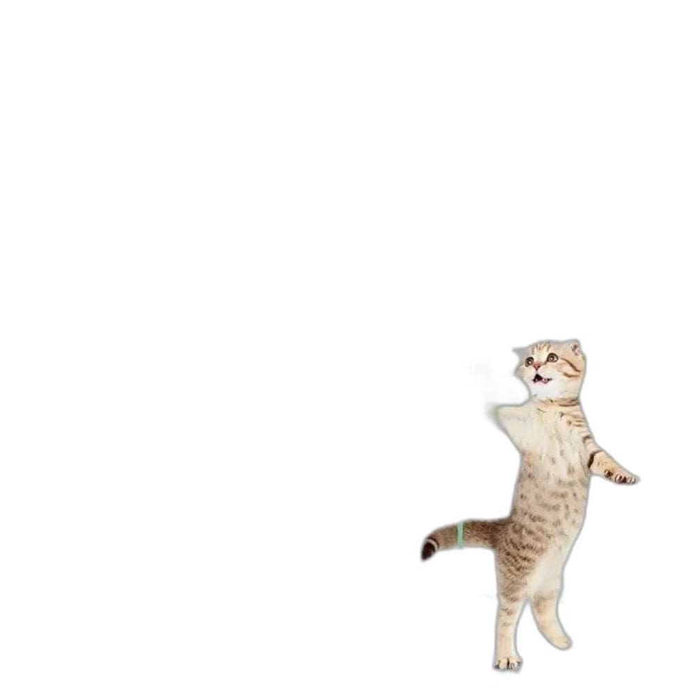 2X Brinquedo Elástico Interativo Divertido Para Gato De Port