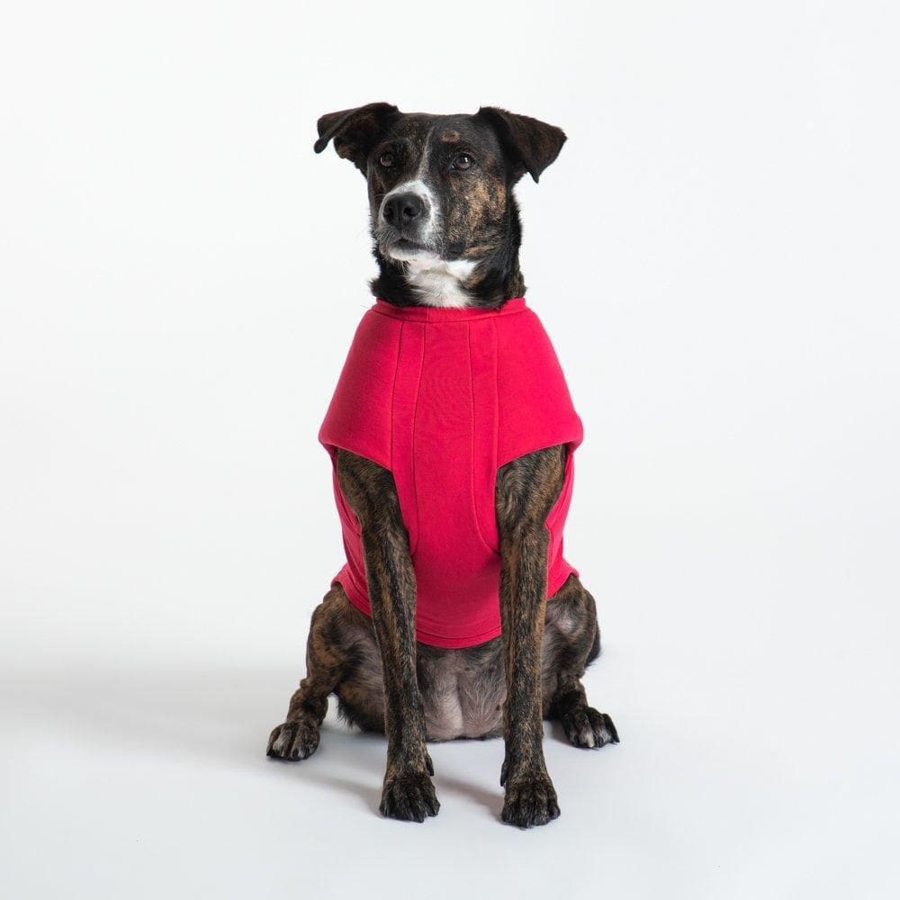 T-Shirt Calabria Pet - Pink - M