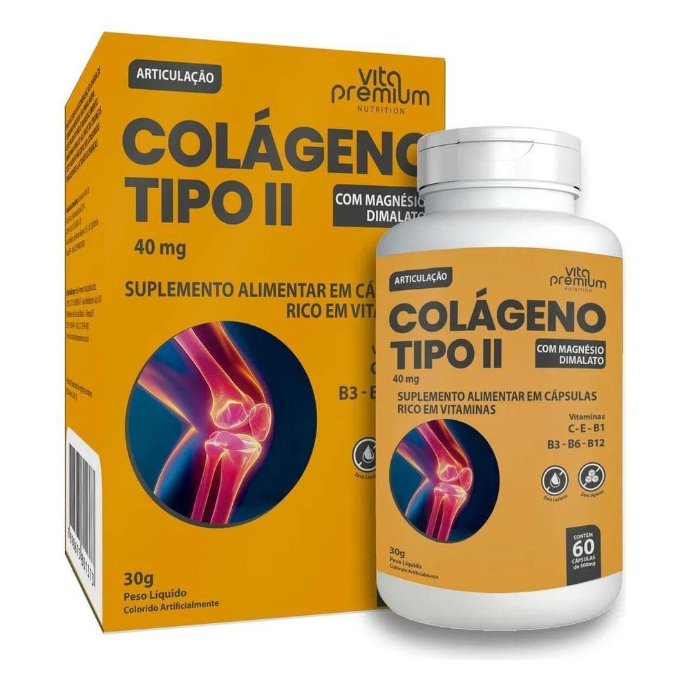 2X Colágeno Tipo Ii Com Magnésio Dimalato 60Cps - Vita Premi
