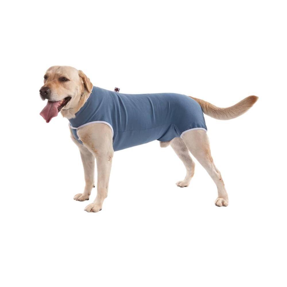 Roupa Cirúrgica Protetora Para Cachorros Nº 01 Pet Star