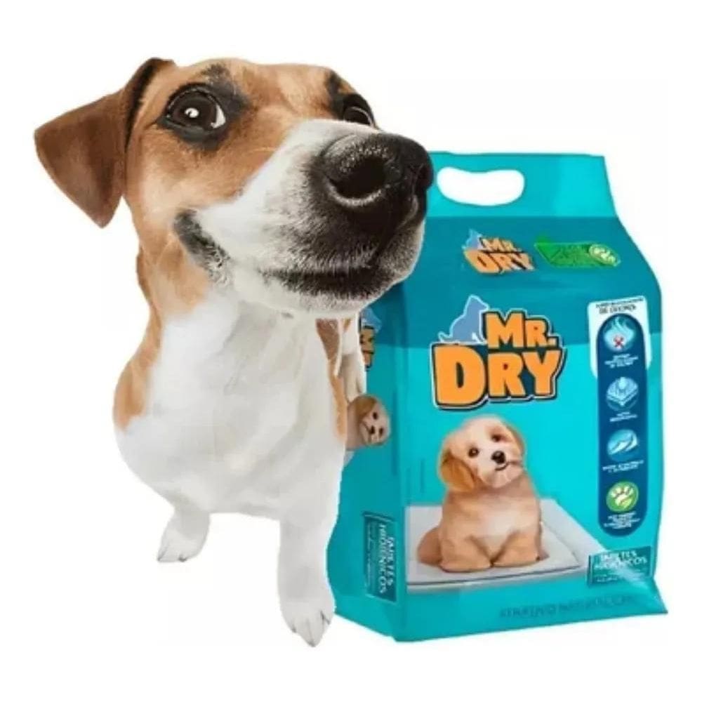 2X Tapete Higienico Mr Dry Com 30 Unidades - Tamanho 80X60 C