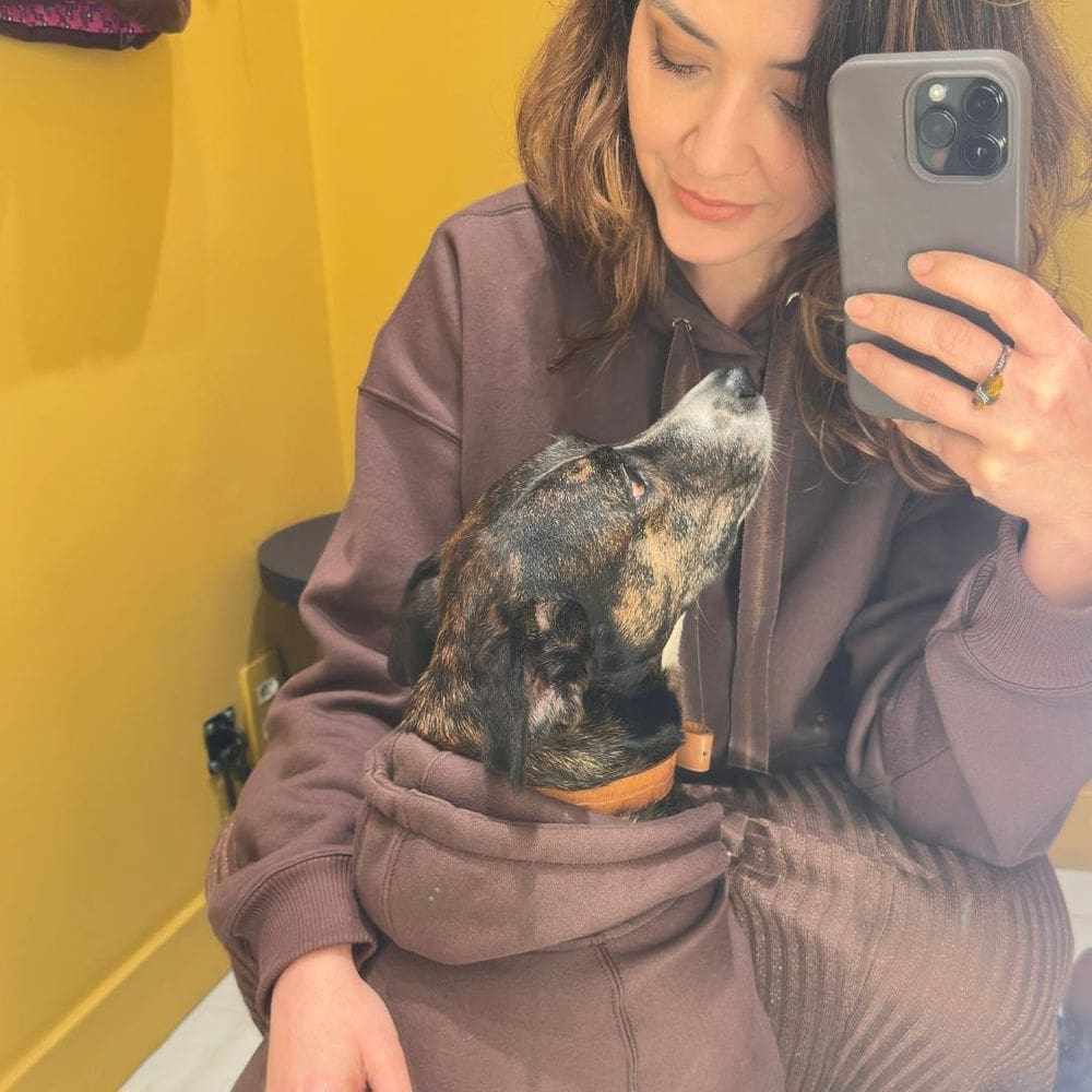 Moletom Basic Felpado Pet - Cinza - M