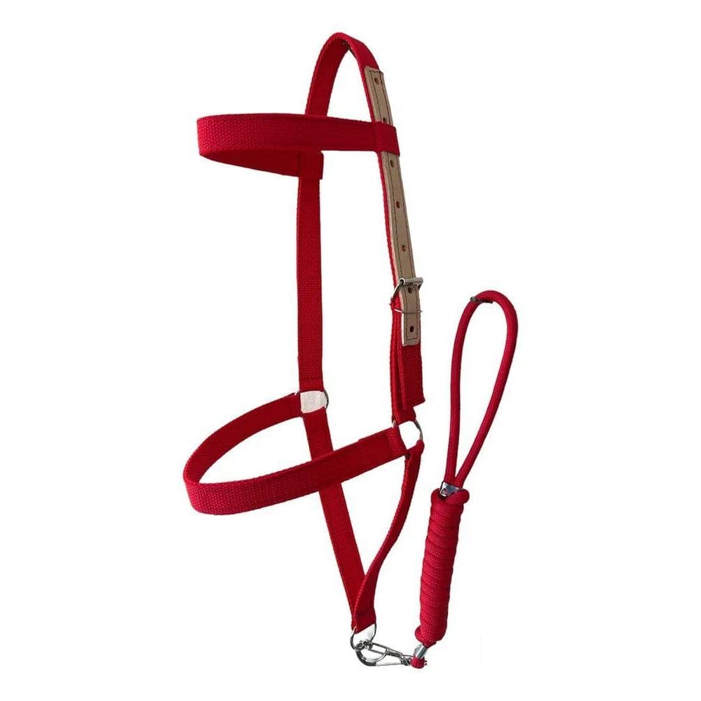 2X Cabresto Reforçado Em Couro Preço De Fábrica