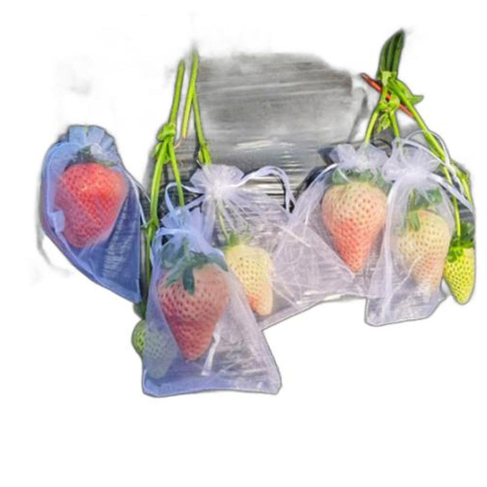 50 Saquinho Organza Protegue Fruta No Pé 10X15Cm Ecologica