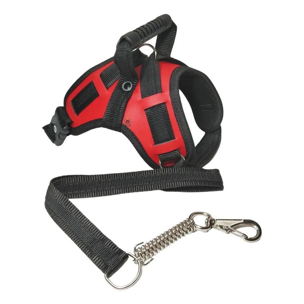 2X Coleira Pra Cachorro Com Guia Pitbull Pastor Alemão Ameri