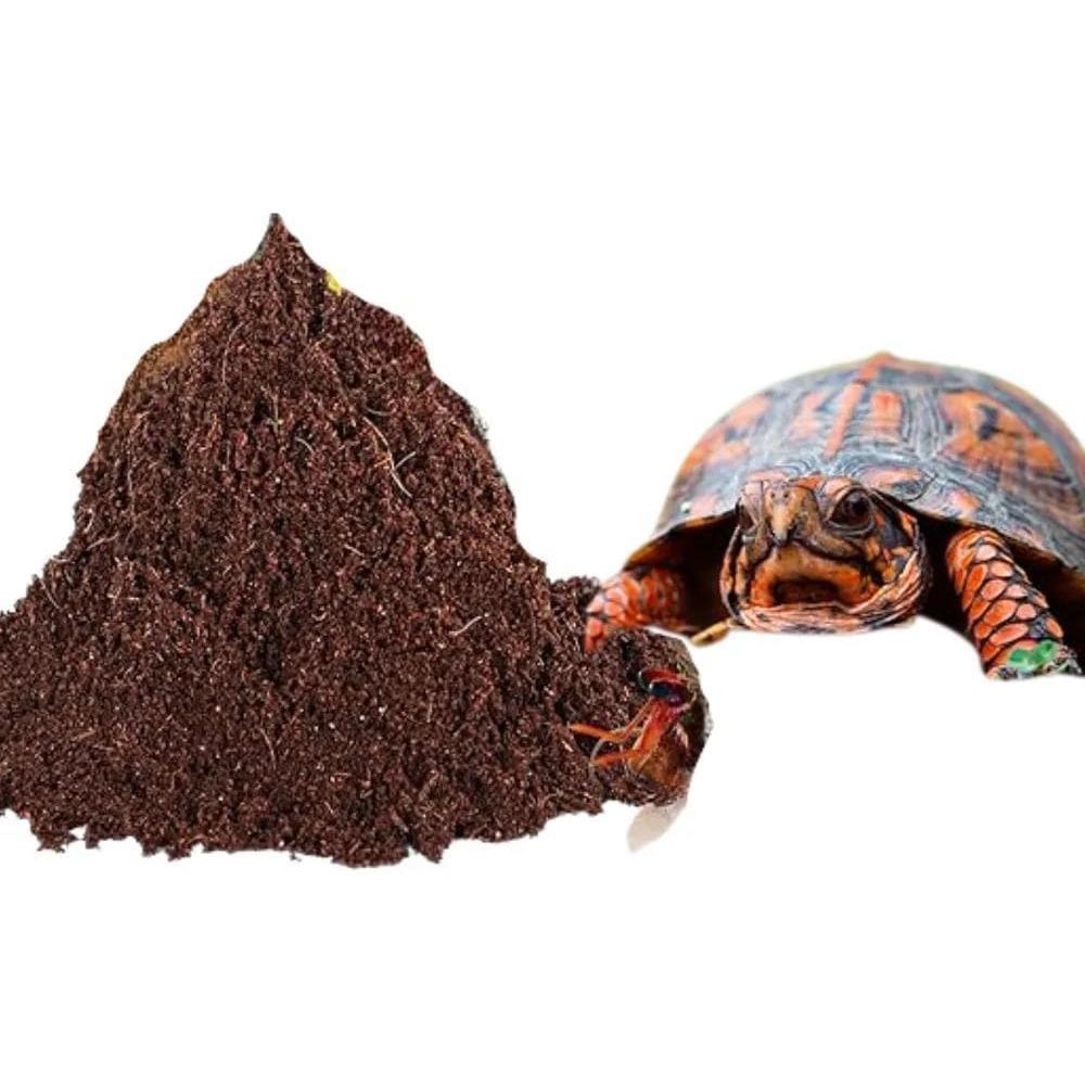 2X Substrato Fibra Pó De Coco Para Répteis Jabuti Aranhas 5L