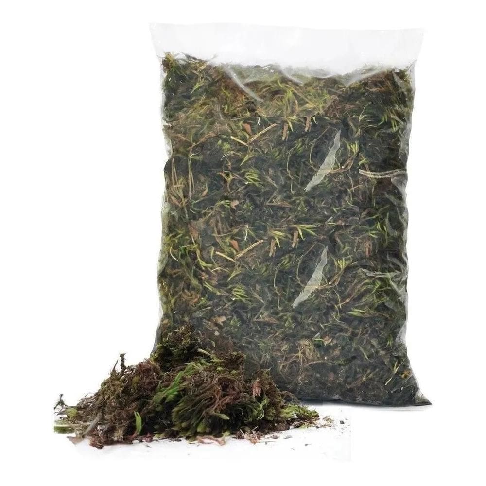 2X Musgo Esfagno Verde Para Orquídeas - 2 Litros - Substrato