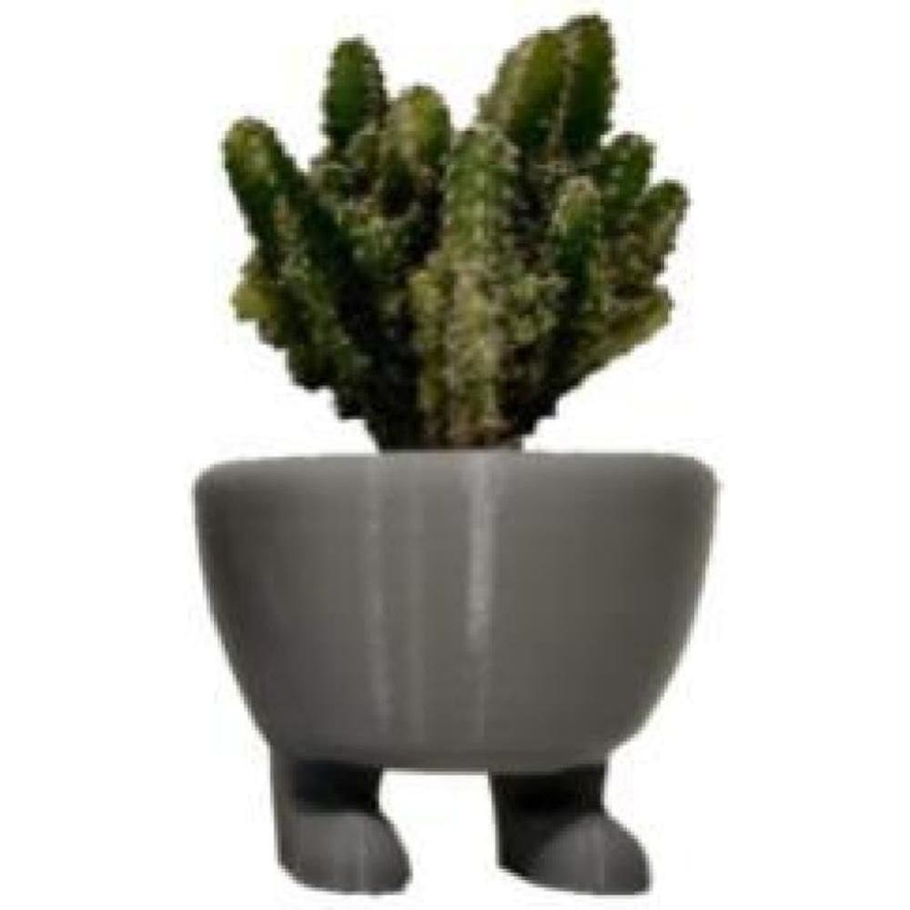 Kit Com 3 Vazinhos Suculenta Pezinhos Pés Adorável