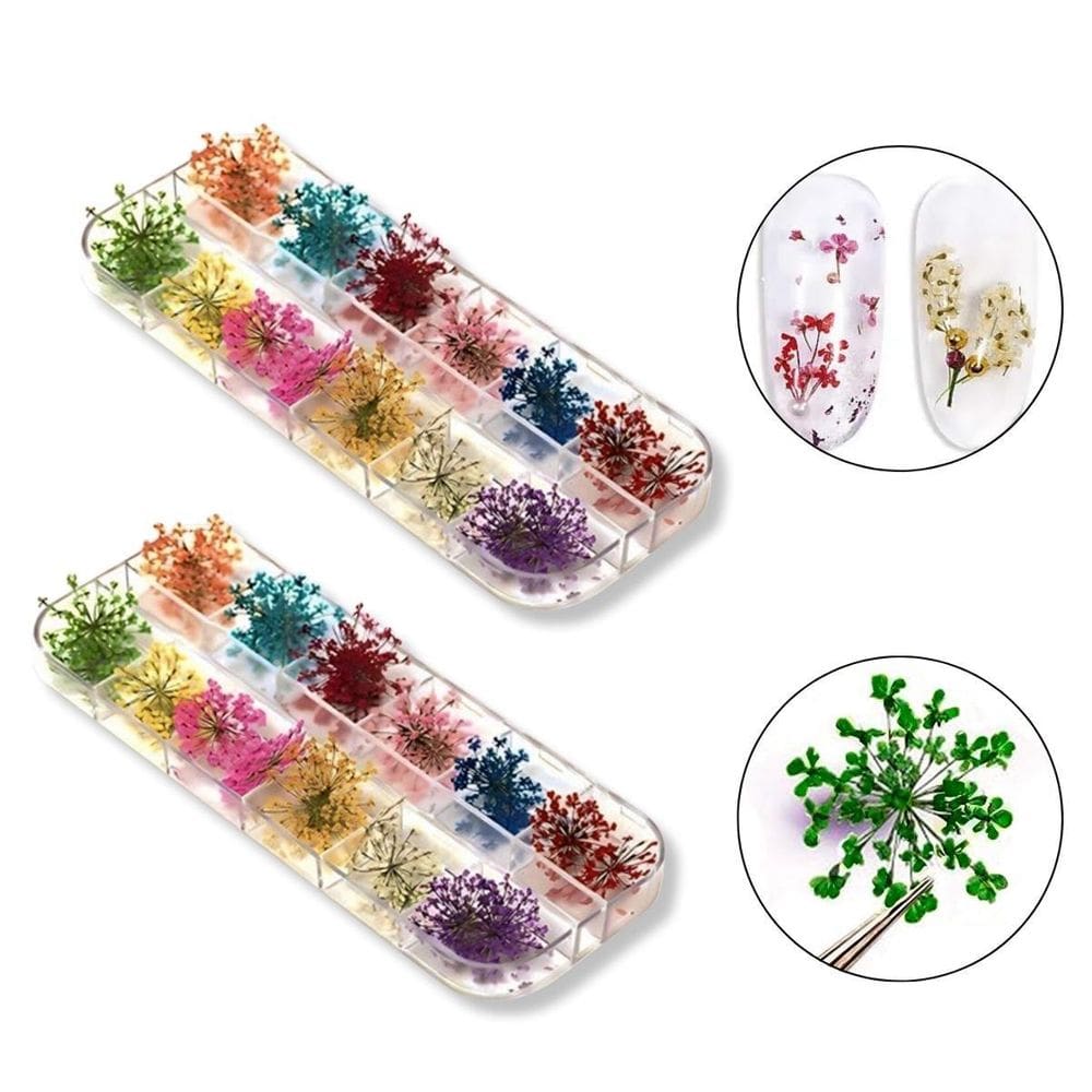 Kit 24 Flores Secas Decoração E Encapsulamento De Unhas Gel