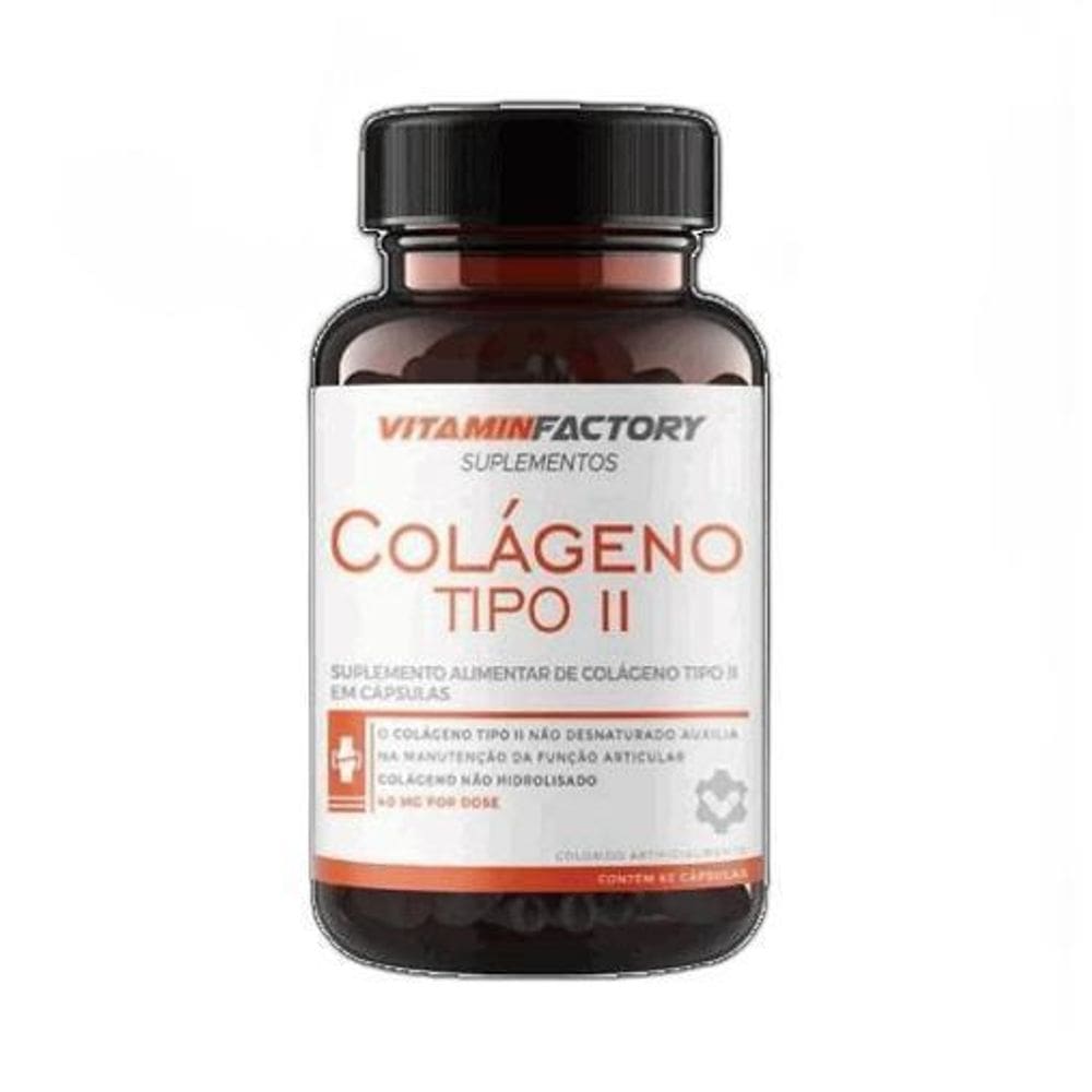 Colágeno Tipo Ii  60 Caps  - Vitamin Factory