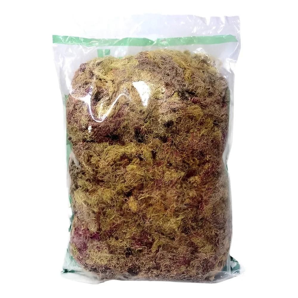 2X Musgo Esfagno 3 L Substrato Organico Orquídeas Carnívoras