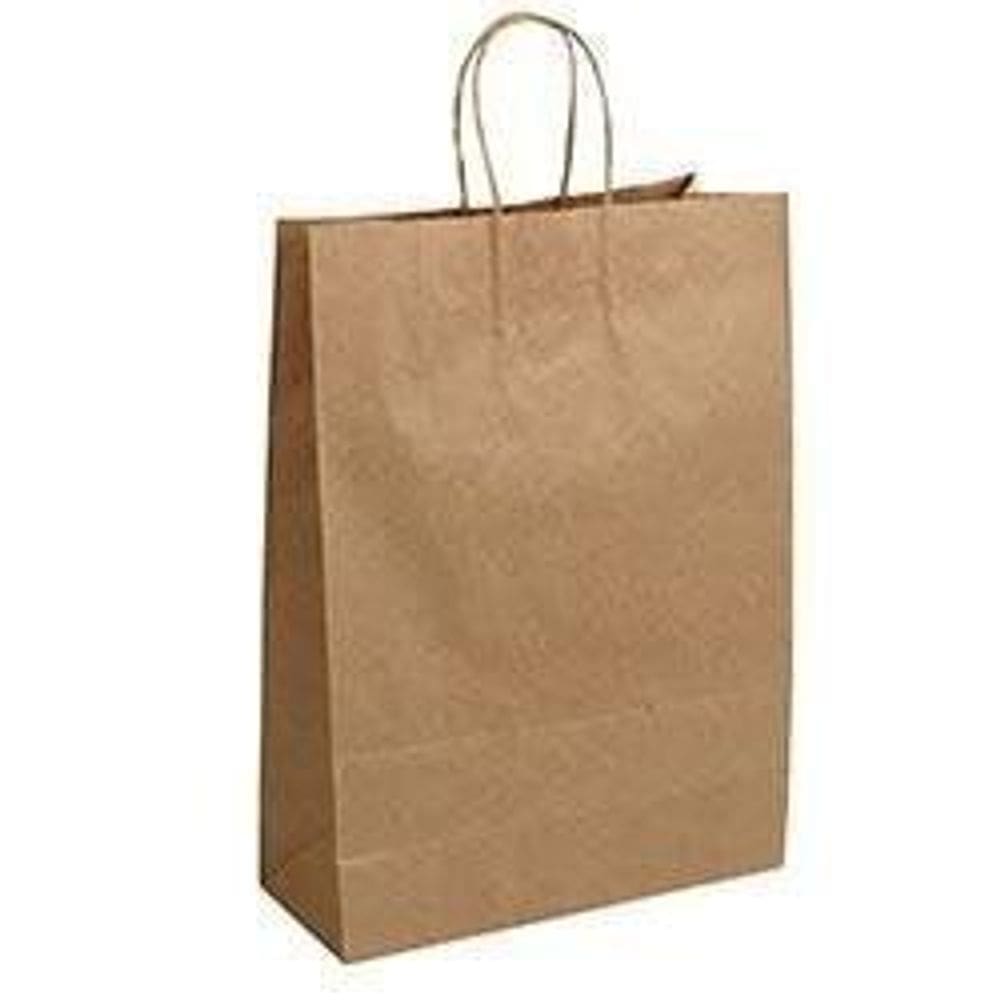 Sacola Kraft 31,5x23,5cm 10 Peças - Tudo em Caixa