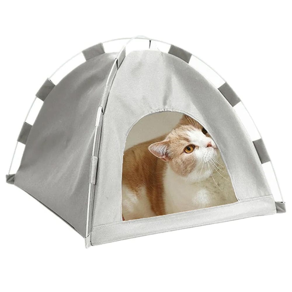 Tenda Portatil Casinha Dobravel Barraca Gatos Cachorro Pet Animais Estimaçao Caminha Arranhador Dobravel Portatil