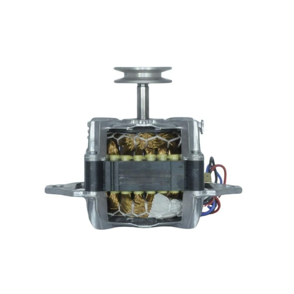 Motor Elétrico Sem Carcaça Lavadora Automática Monofásico - Weg