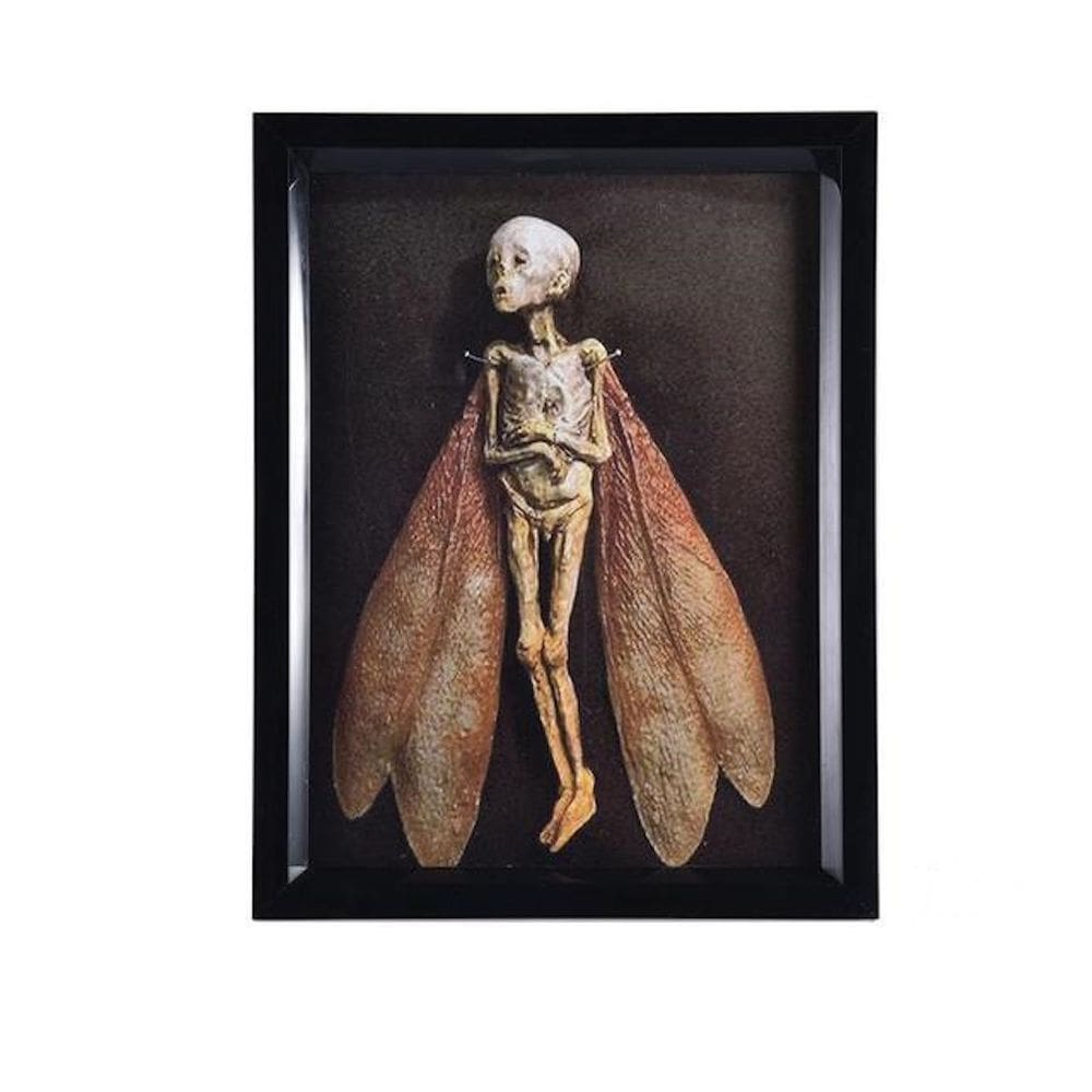Shadow Box Display, estatueta de madeira, escultura Dead Fairy