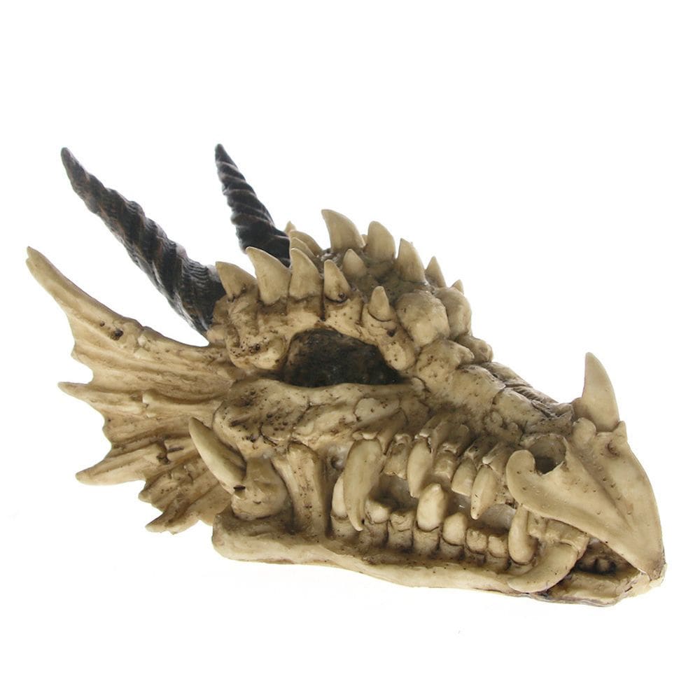 Crânio de dinossauro Piggy Bank para crianças de plástico 11x19x11cm