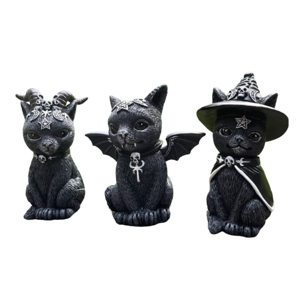 Estatueta, escultura, estátua, gato mágico de Halloween, 3 peças