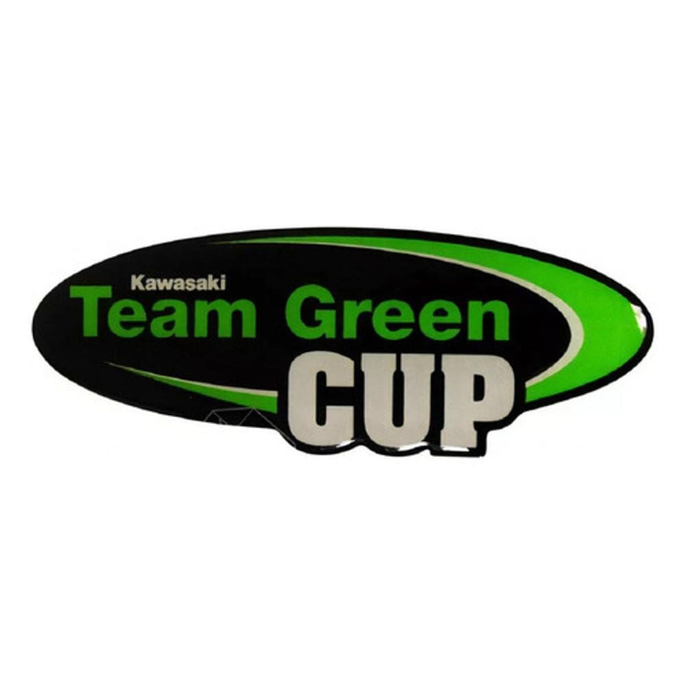 Adesivos Emblemas Compativel Kawasaki Team Green Cup 3D Re17