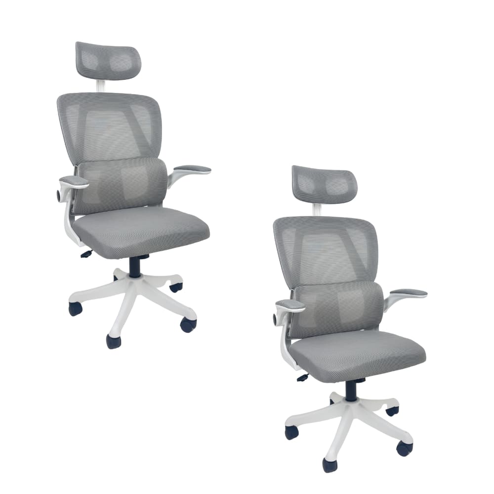 Kit 2 Cadeiras de Escritório Oficial Legacy Cinza