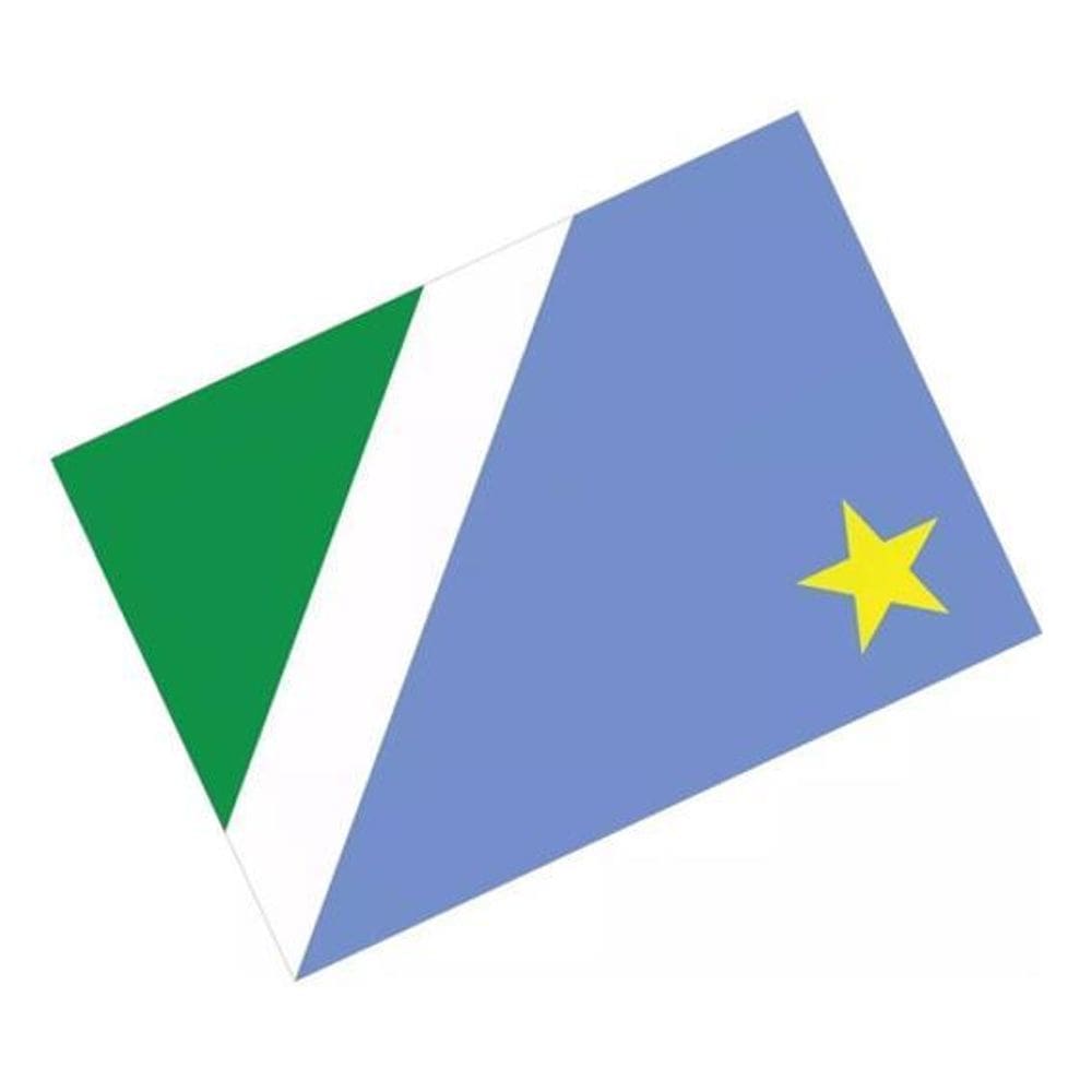 Adesivo Bandeira Mato Grosso Do Sul Resinado 4X6Cm Bd28