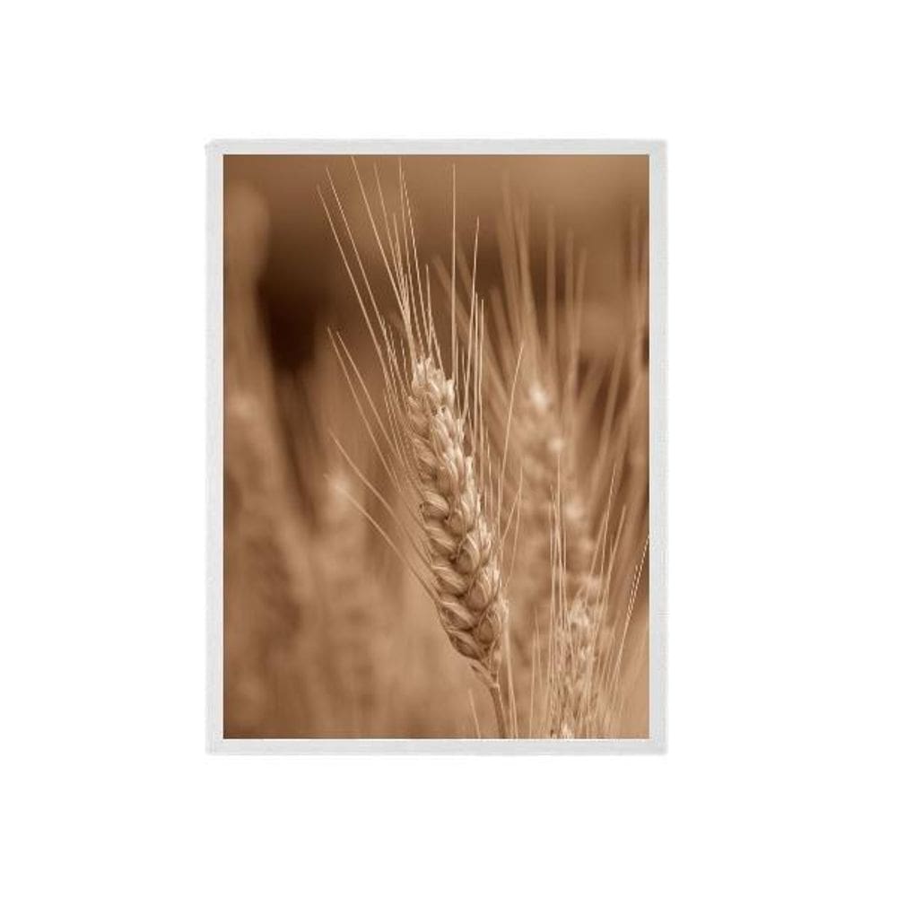 Quadro Fotografia Ramo De Trigo Moldura Branca 24X18Cm