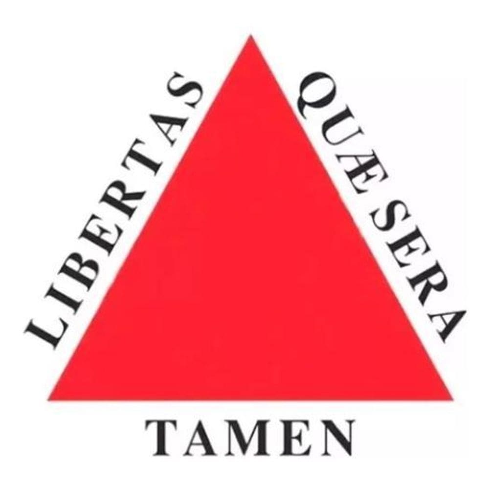 Adesivo Bandeira Minas Gerais Resinado 4X6Cm Bd30