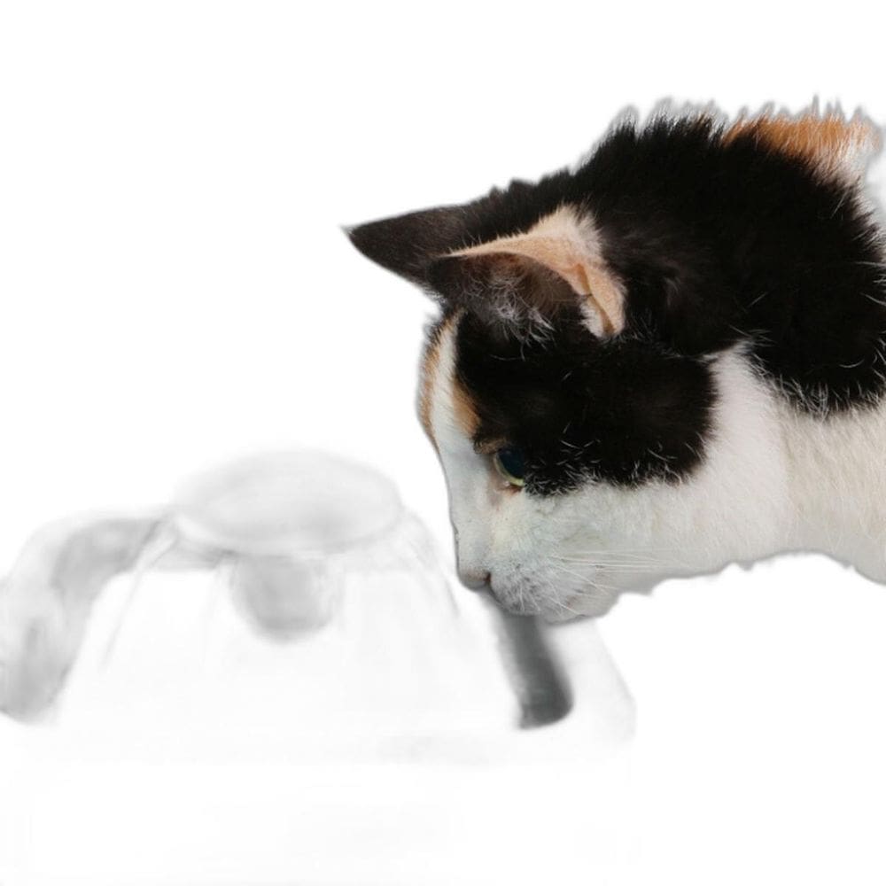 Fonte Água Gato Cães Pet Filtro 2,5L USB - Branca