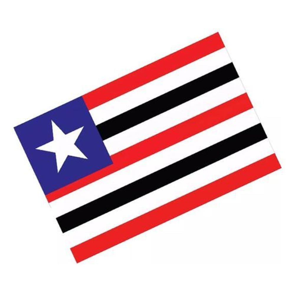 Adesivo Bandeira Maranhão Resinado 4X6Cm Bd27